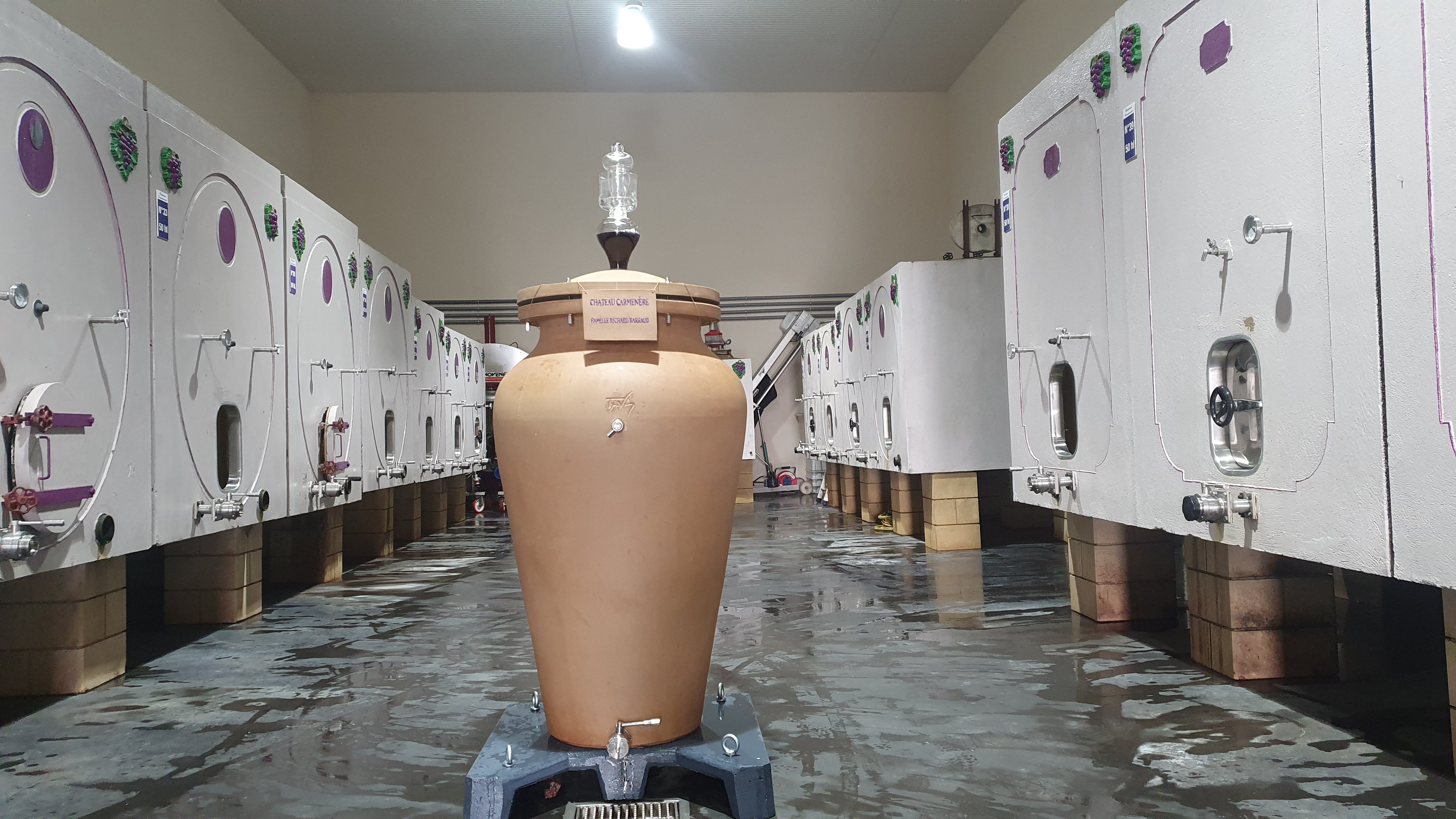 Château Carmenère - photo 3