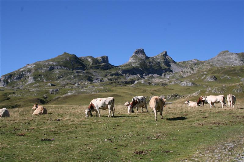 Cirque d'Anéou