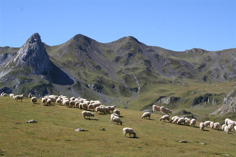 Le cirque d'Anéou