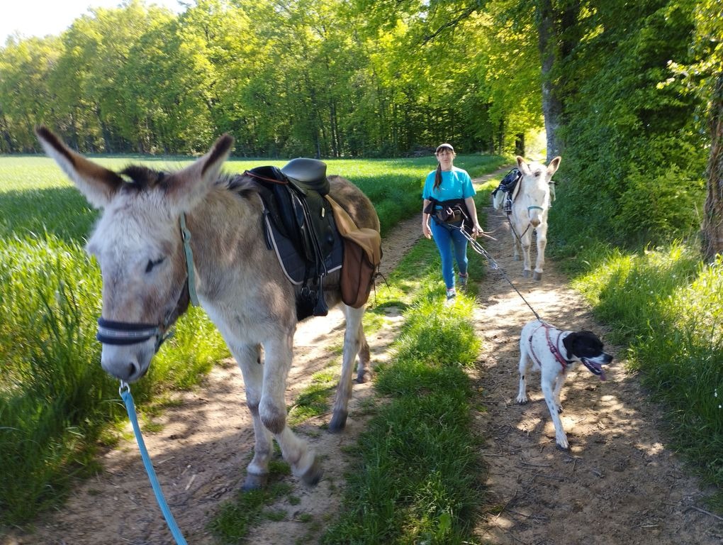 Rando Découverte, Jourgnac - photo 3