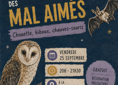 À la rencontre des mal-aimés