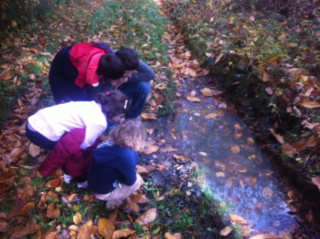 Ateliers au Domaine des Chaulnes - photo 5