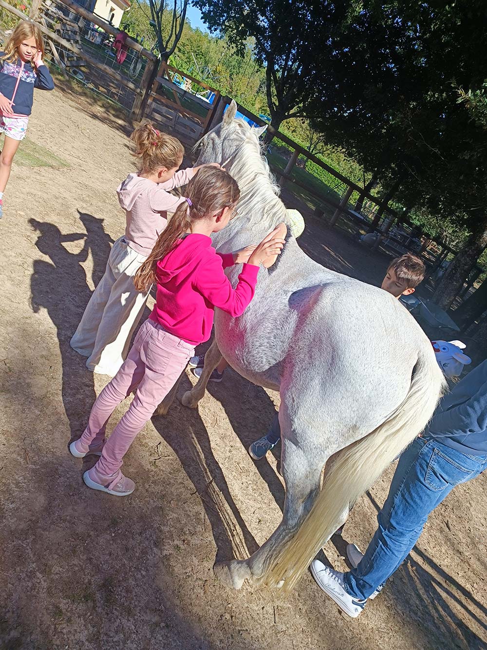 Association  les ani'maux de popo, Agonac