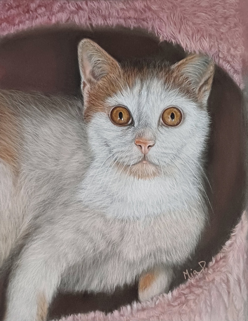 Exposition de photographies, peintures et pastels