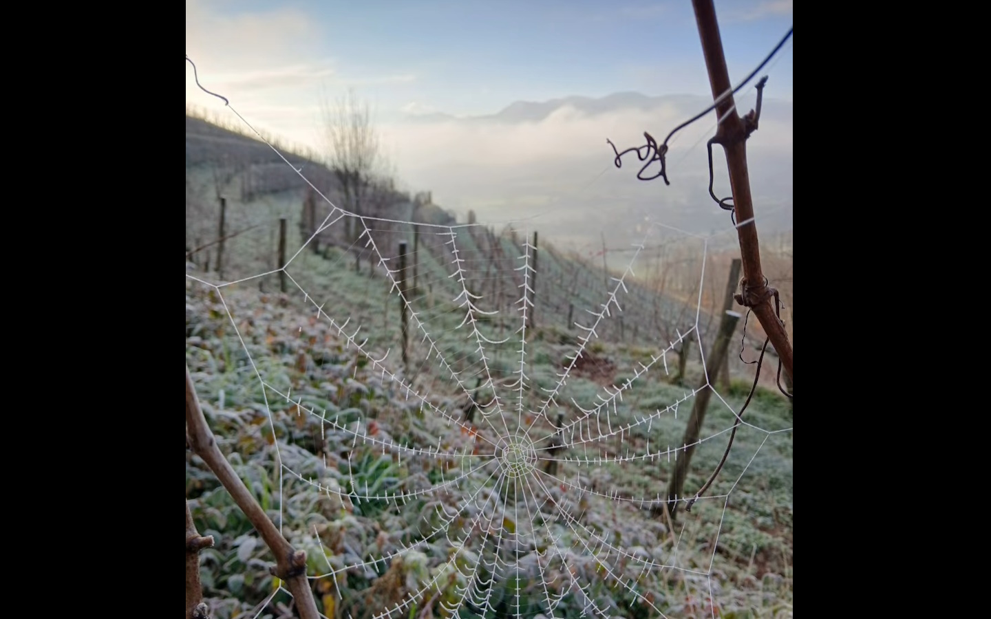 Domaine Apelxenia - photo 5