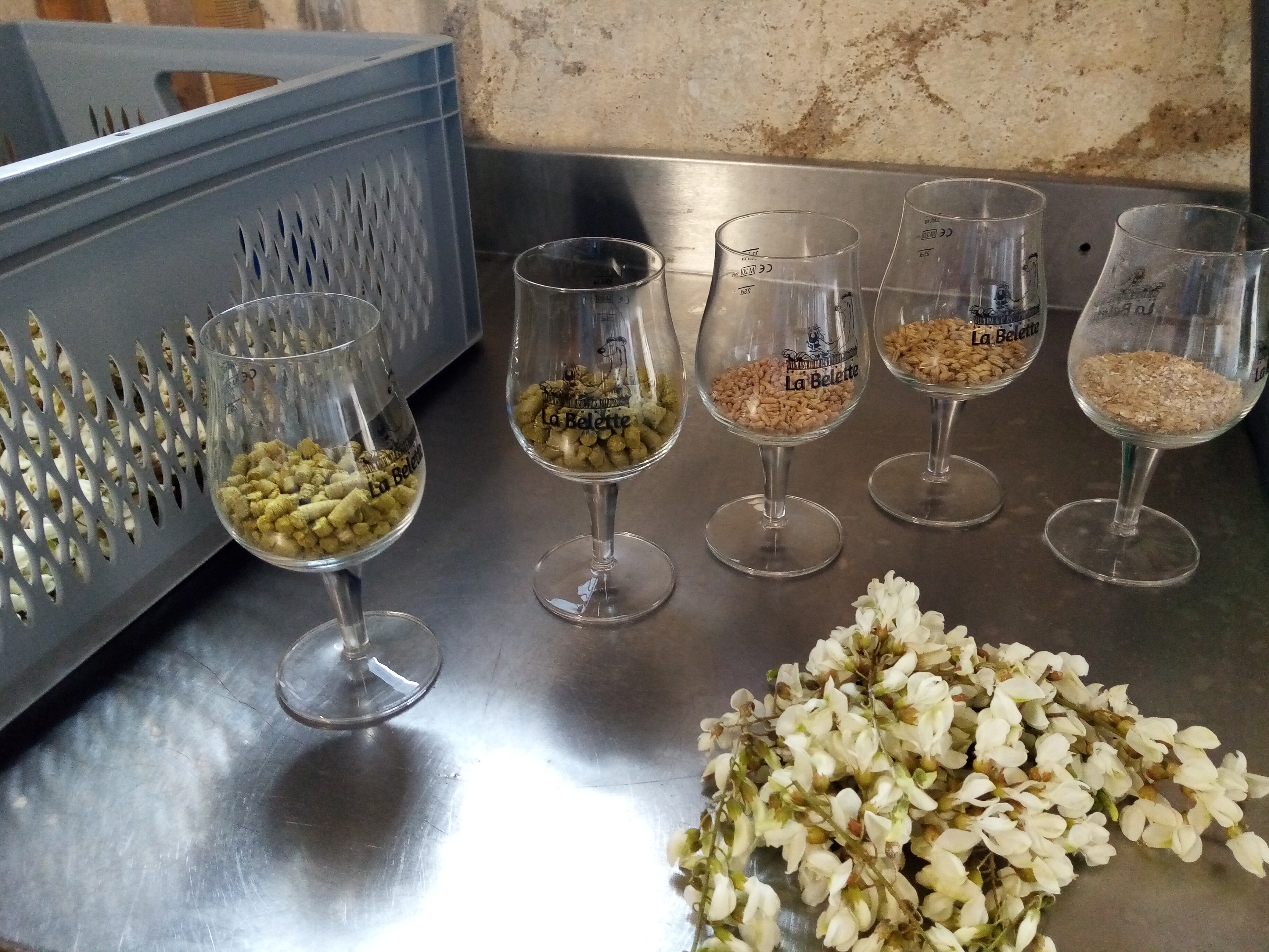 Visite dégustation à la Brasserie du Val de Sèvre, Salles - photo 4