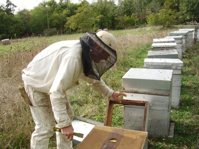 Apiculture Apyraine - photo 3