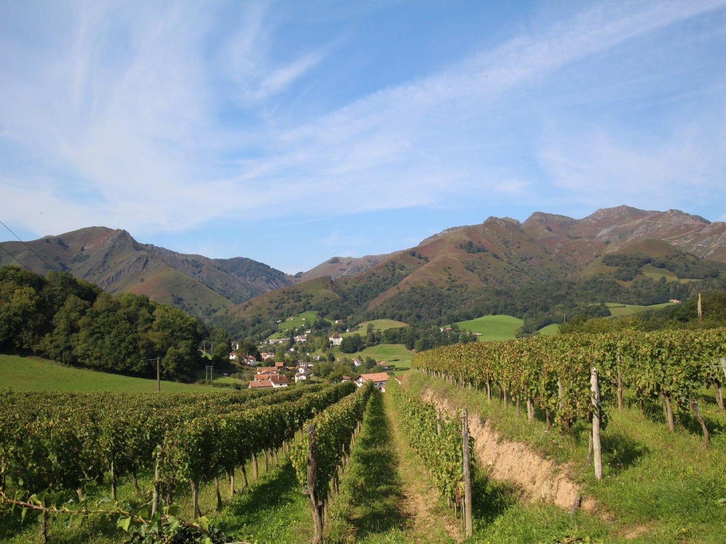Madame Marie-Thérèse BISCAR "Bixkarrenea Appartement", Saint-Étienne-de-Baïgorry - photo 2