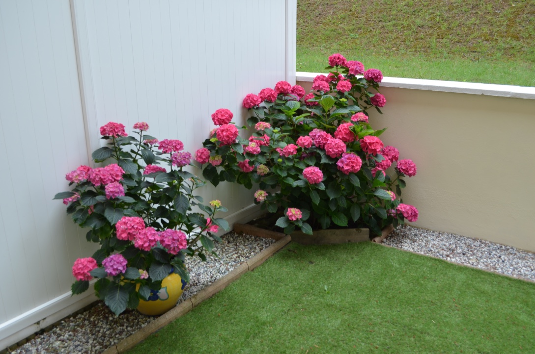 Appartement Bouteille, Capbreton - photo 19