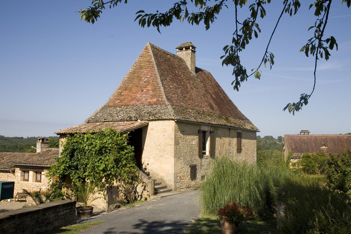 Les Tulipes