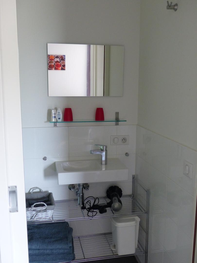 Domaine de L'Ancien Vignoble - La Figue, Saint-Julien-de-Lampon - photo 4