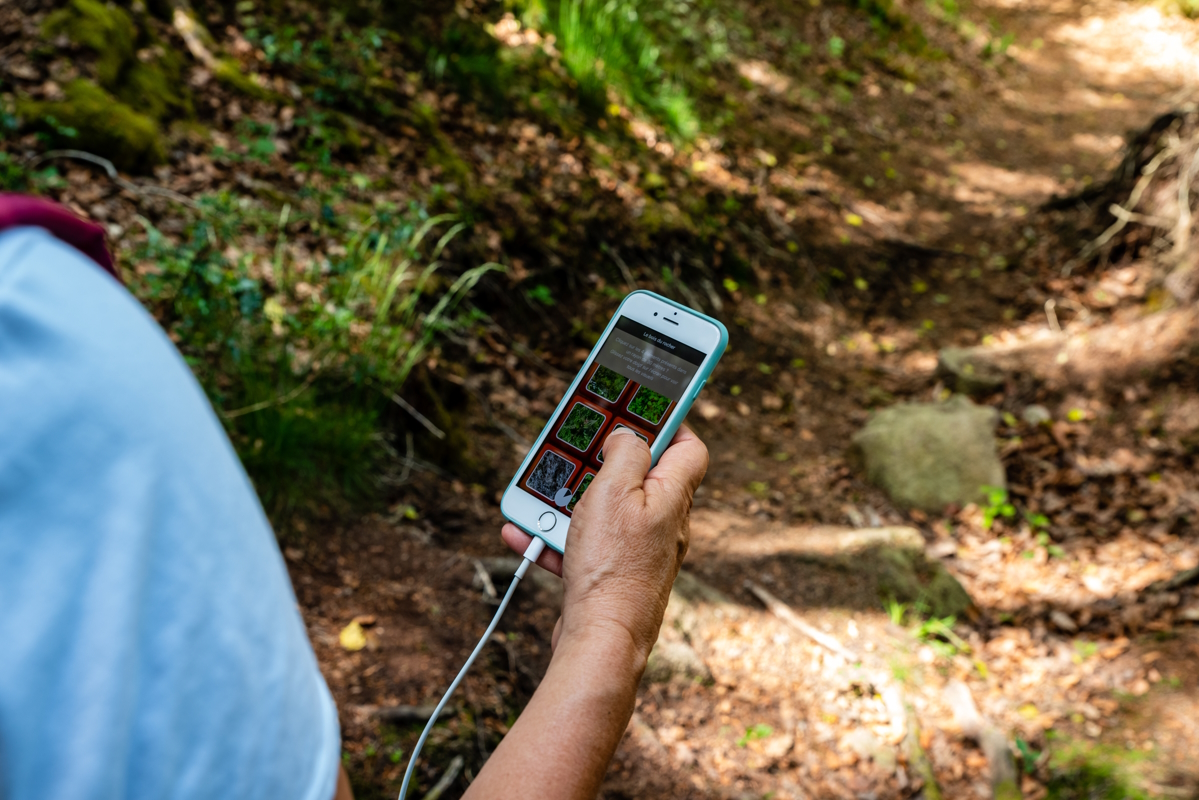 Parcours Explor Games® : Envol à l'étang de la Pouge