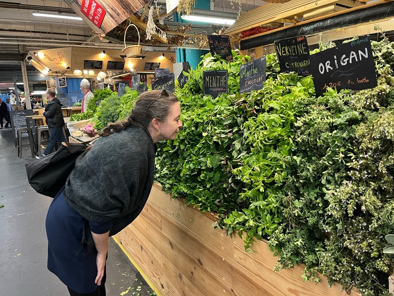 Aquitaine Travel Guide