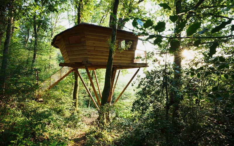 Chambres d'hôtes insolites - Les Cabanes d'Arcangues