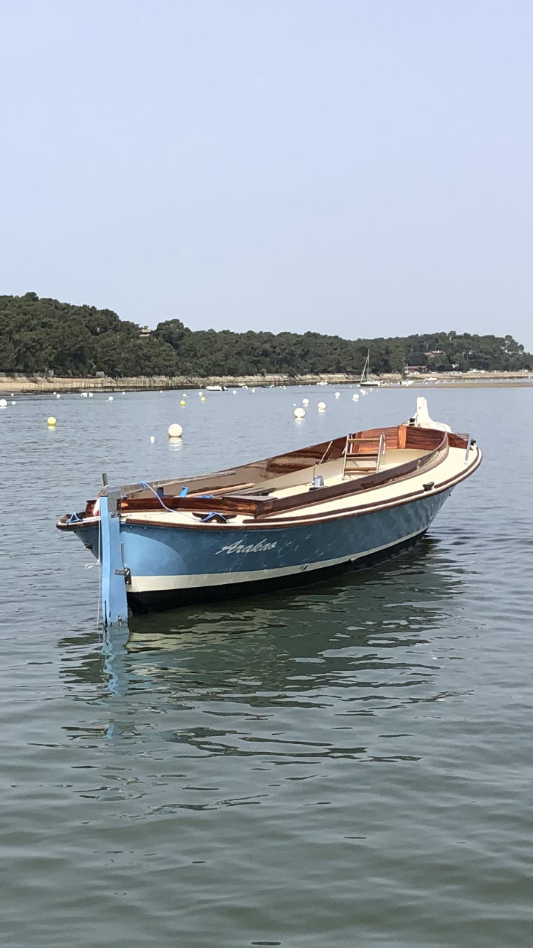 Pinasse Arakao — photo 3