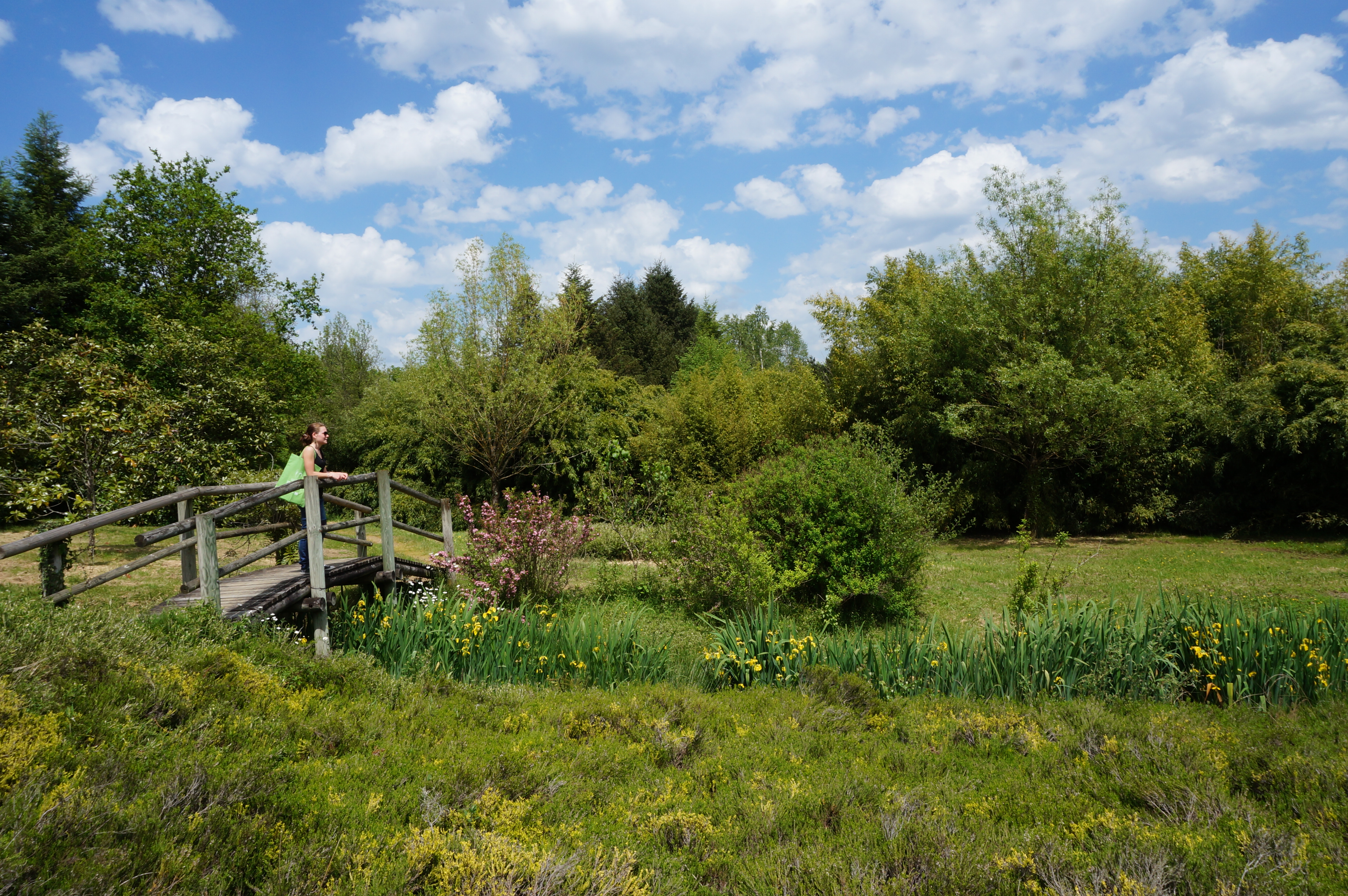 Balade Chambertoise, Chamberet - photo 2