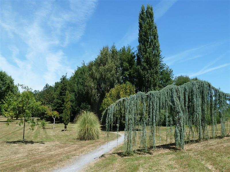 Balade à Roulettes n°49 Le parc de Liben à Serres-Castet