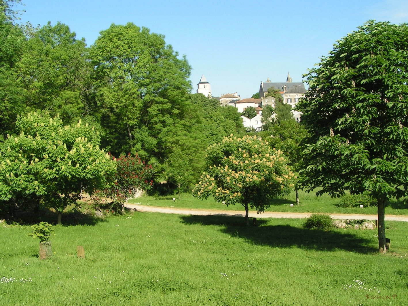Arboretum du chemin de la découverte