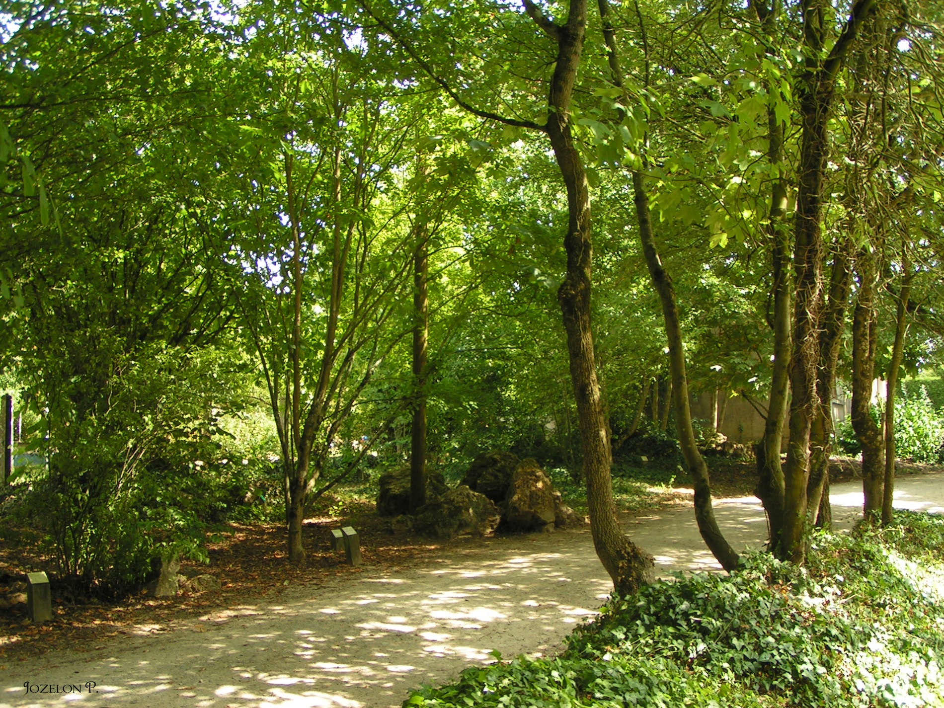 Melle, Petite Cité de Caractère, Melle - photo 12