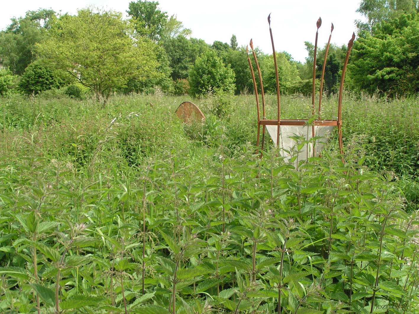 Arboretum du chemin de la découverte - photo 2