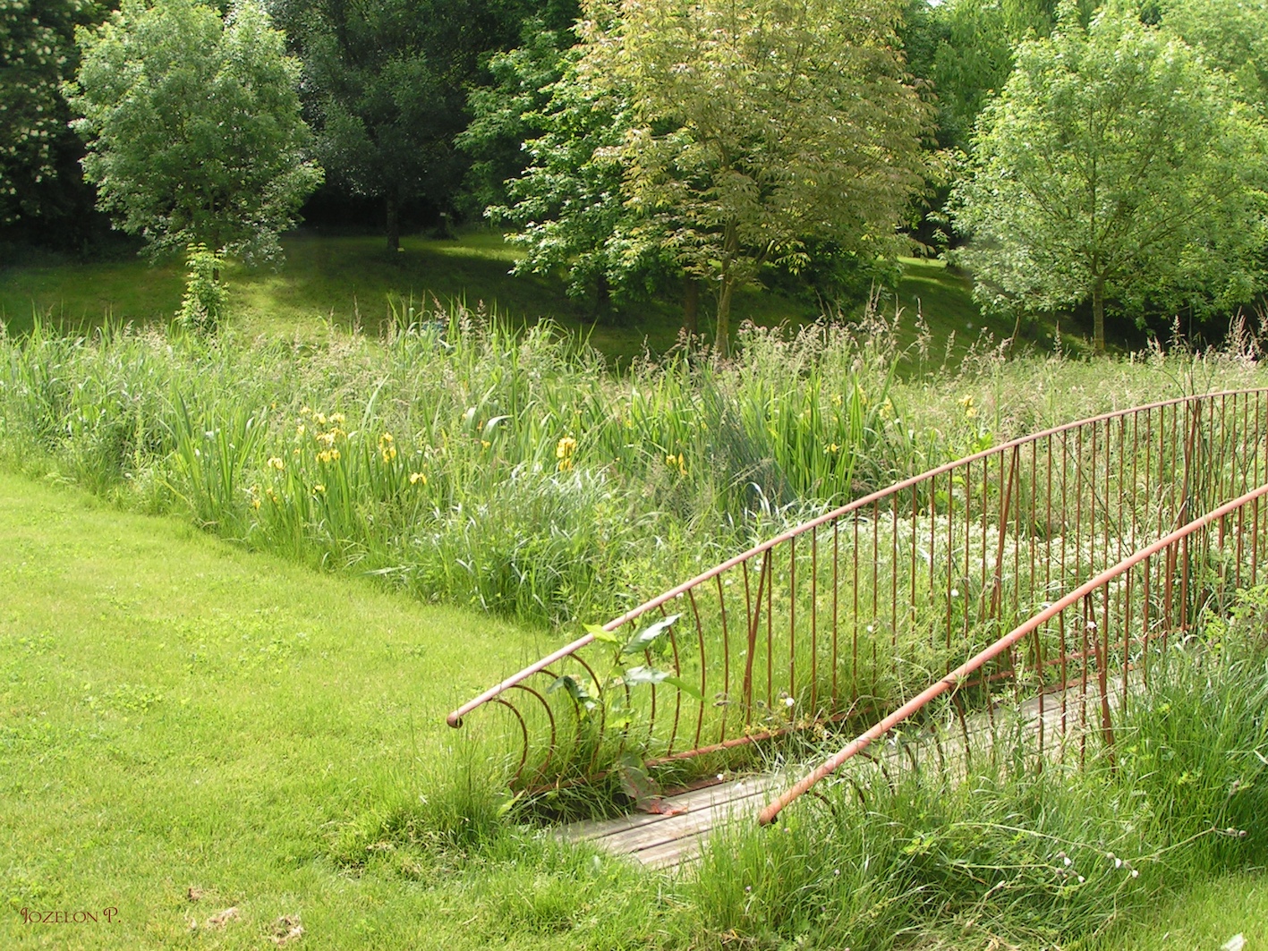 Arboretum du chemin de la découverte - photo 4