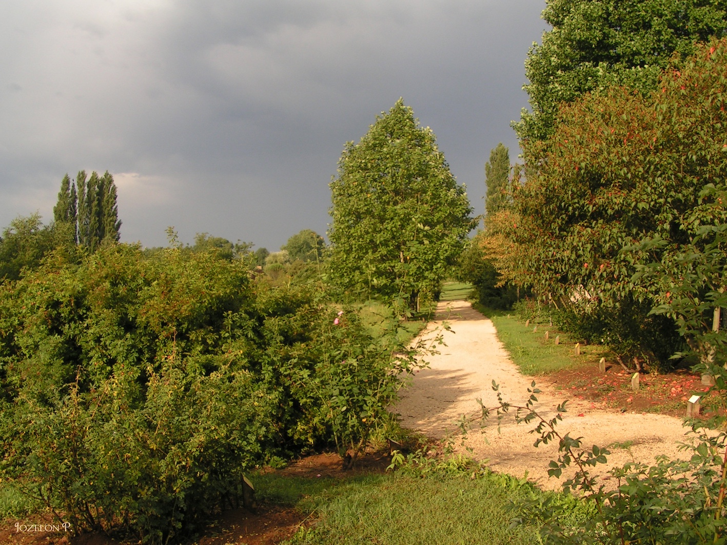 Arboretum du chemin de la découverte - photo 3