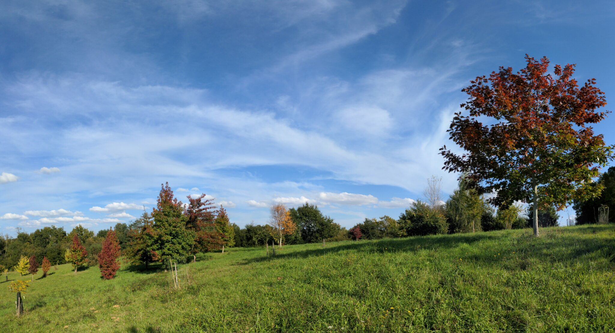 Arboretum du Bassecq