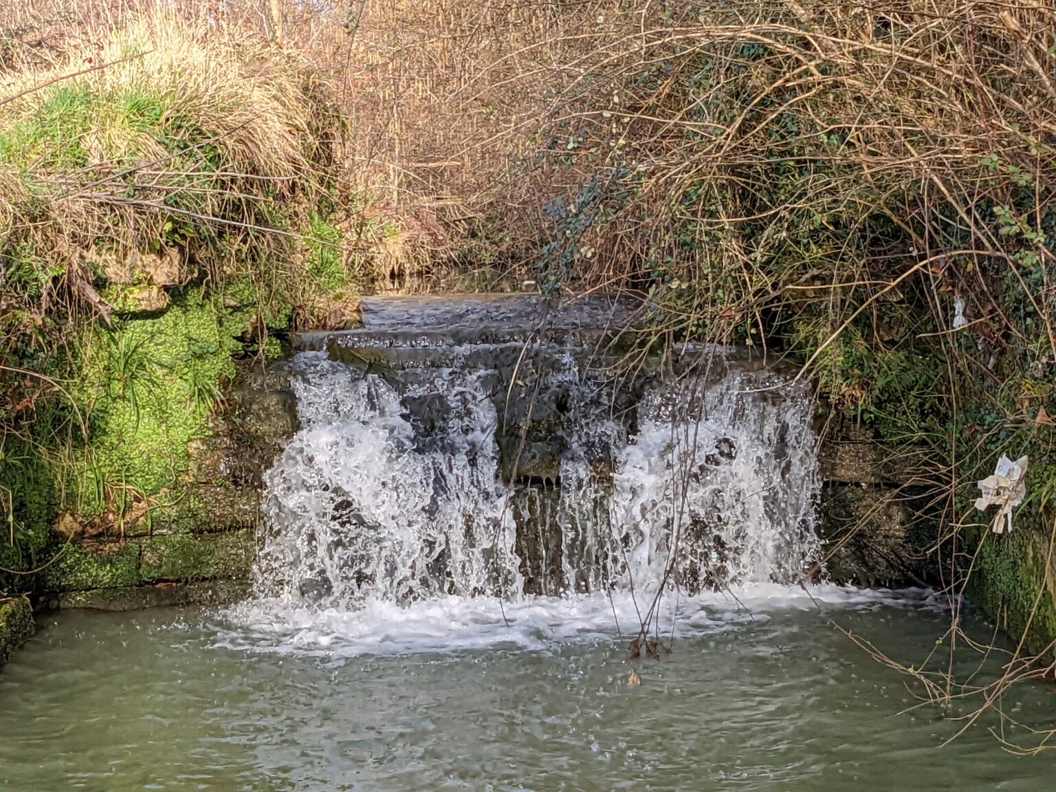 Arboretum du Bassecq, Pouillon - photo 3