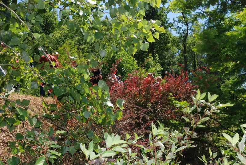 Arborétum des Pouyouleix