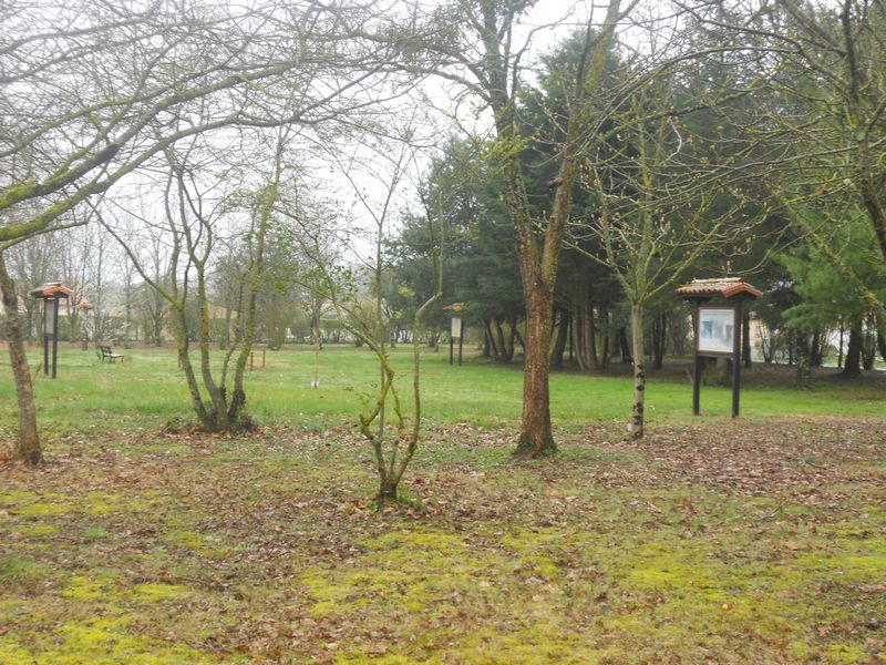 Arboretum de Saint Maurice la Clouère, Saint-Maurice-la-Clouère - photo 3