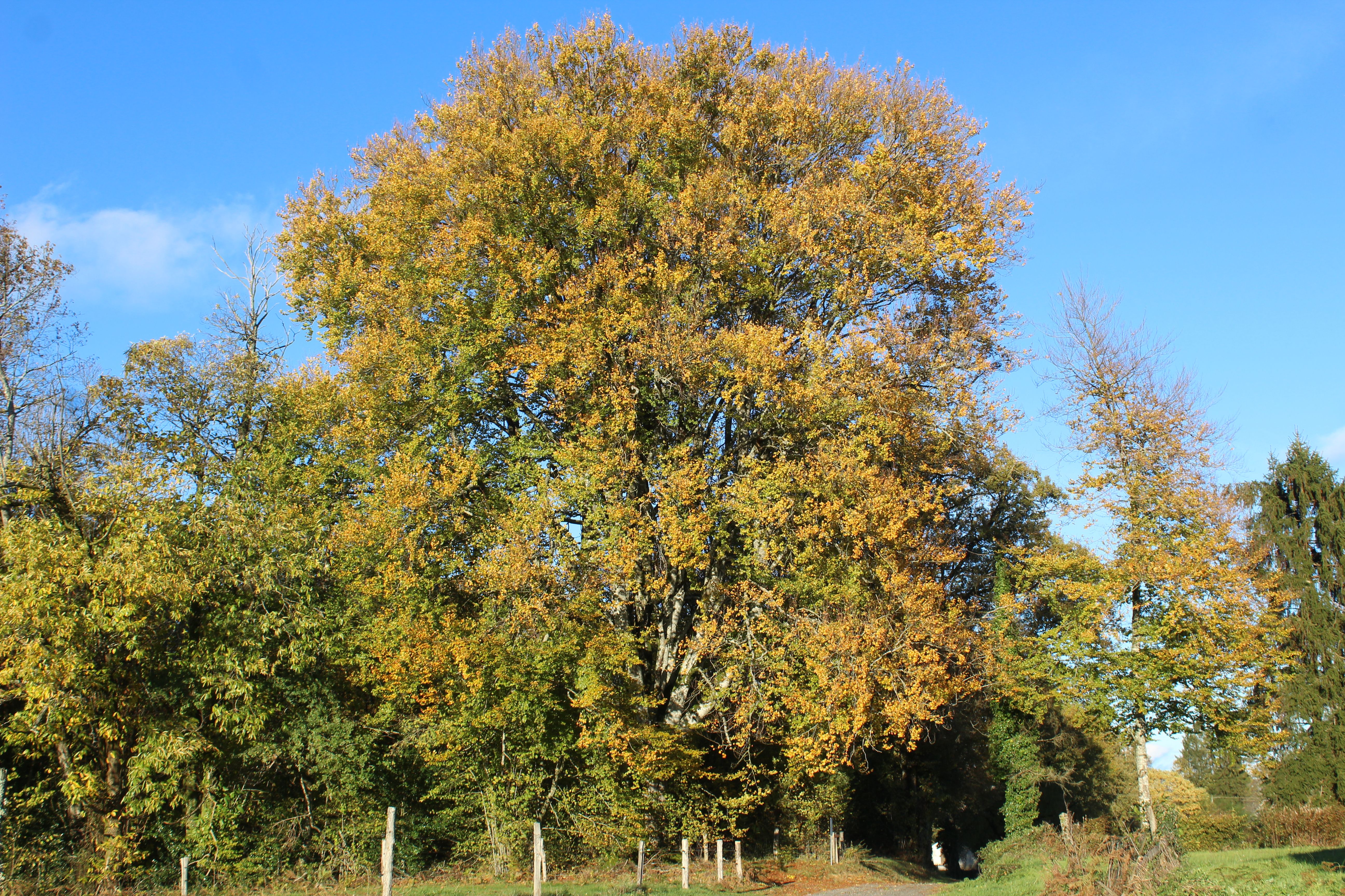 La randonnée des étangs, Perpezac-le-Noir - photo 3