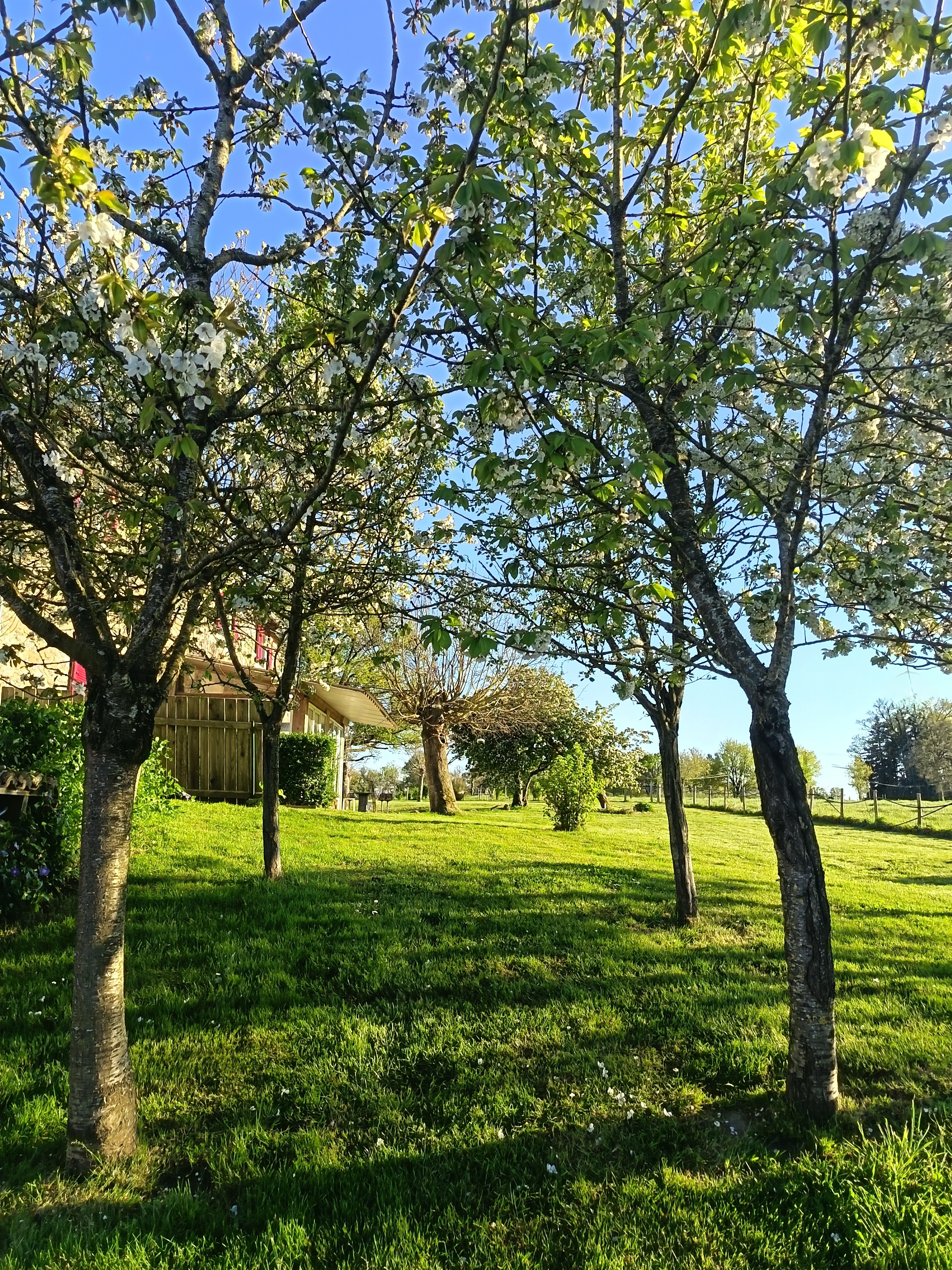 Le grand gîte, Peyrat-de-Bellac - photo 20