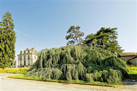 Parcours Arbres Exceptionnels Parcours Arbres Exceptionnels