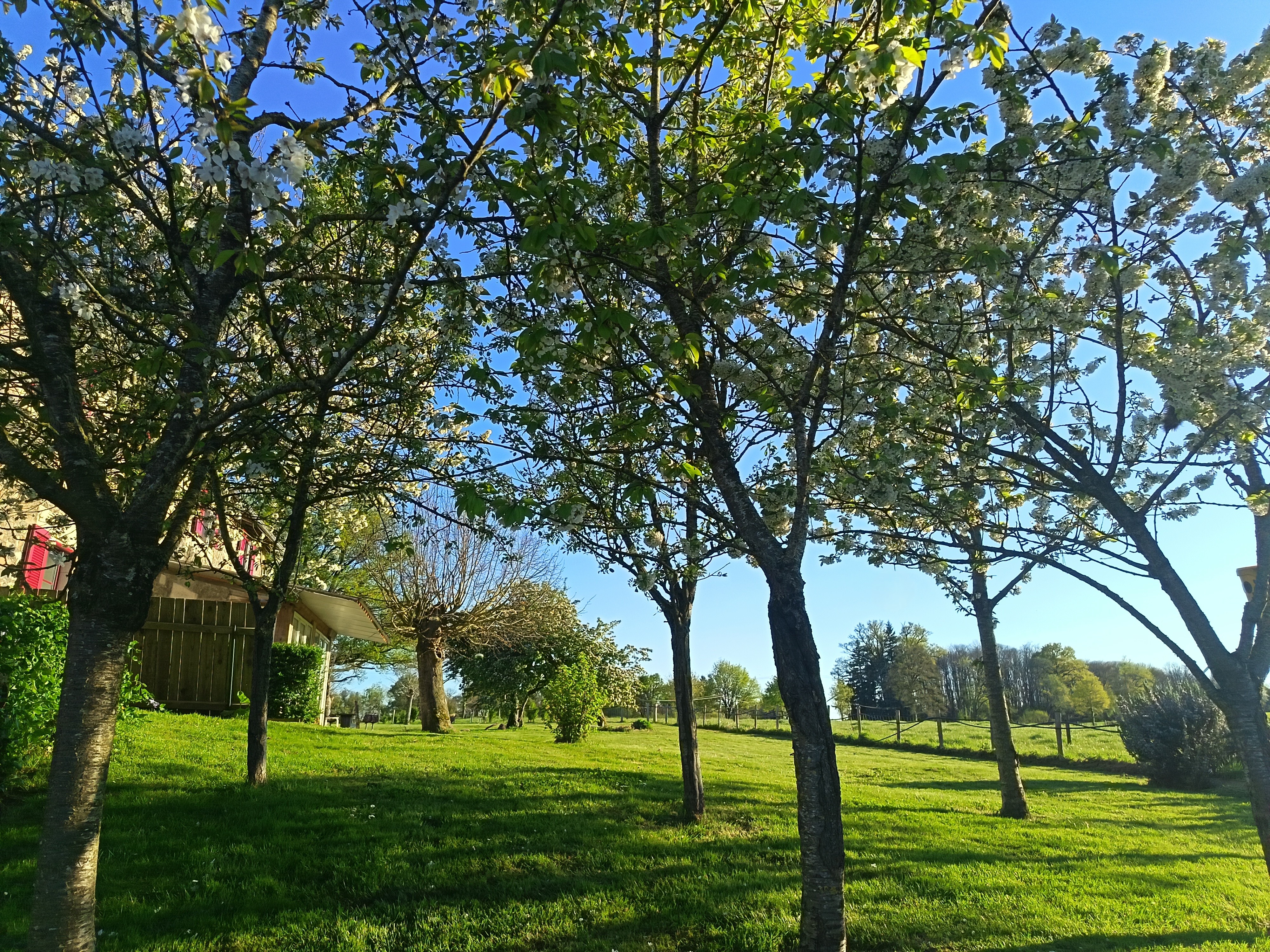 Le grand gîte, Peyrat-de-Bellac - photo 16