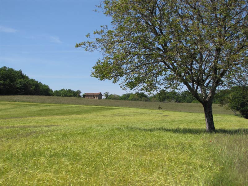 Les Pelouses sèches