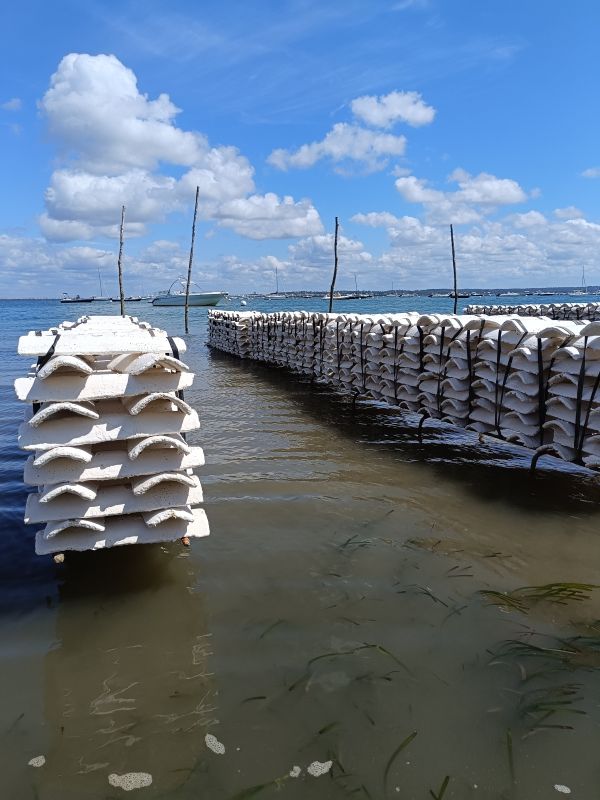 Arca Ferret - photo 2