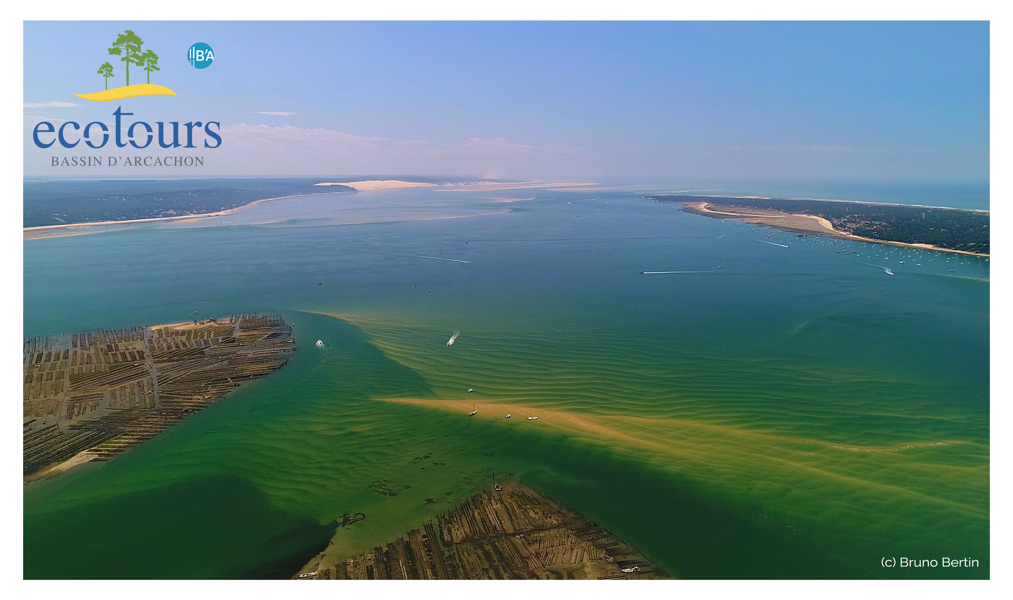 Arcachon Ecotours - photo 4