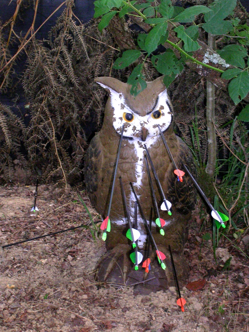 Archers du Pays d'Orthe - photo 3