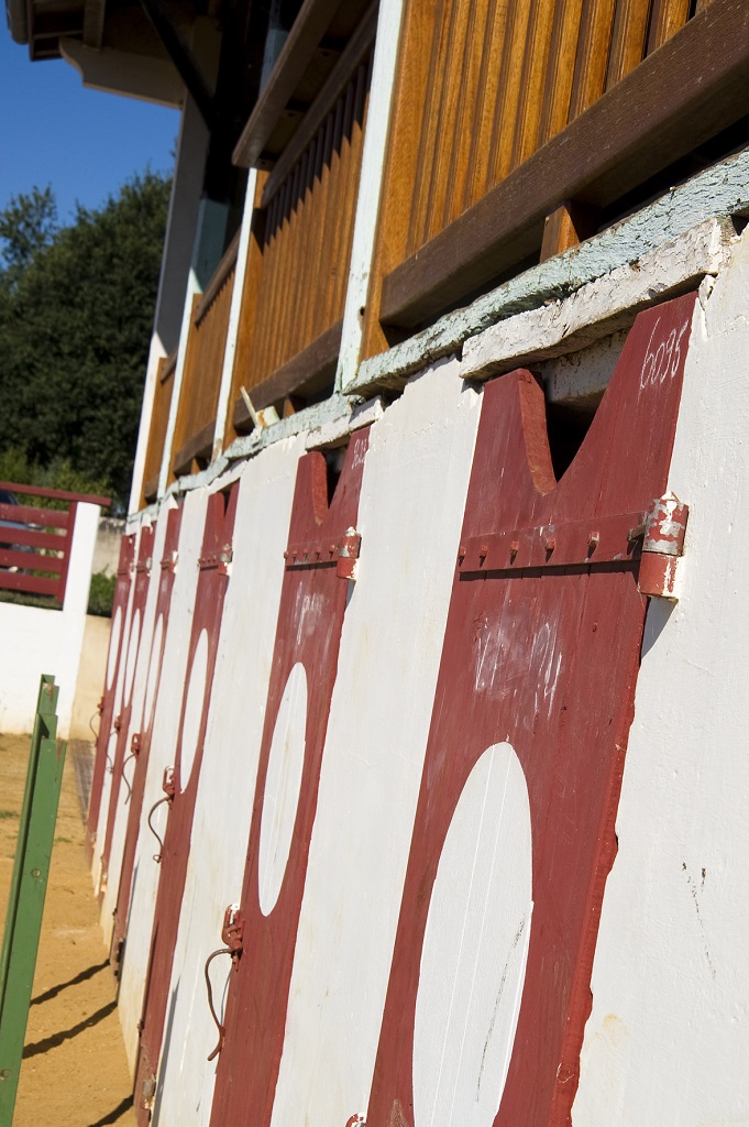 Arènes de Caupenne, Caupenne