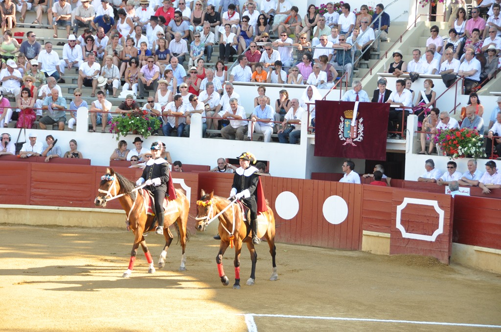 Arènes Henri Capdeville, Saint-Sever - photo 3
