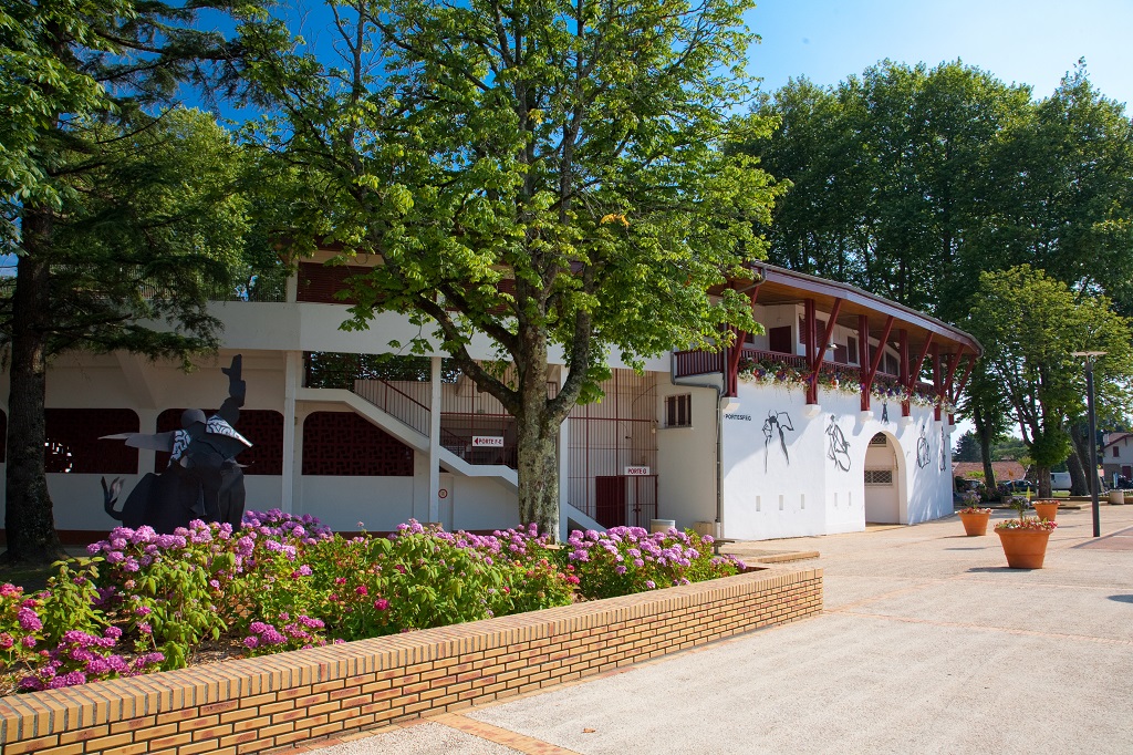 Arènes Marcel Dangou