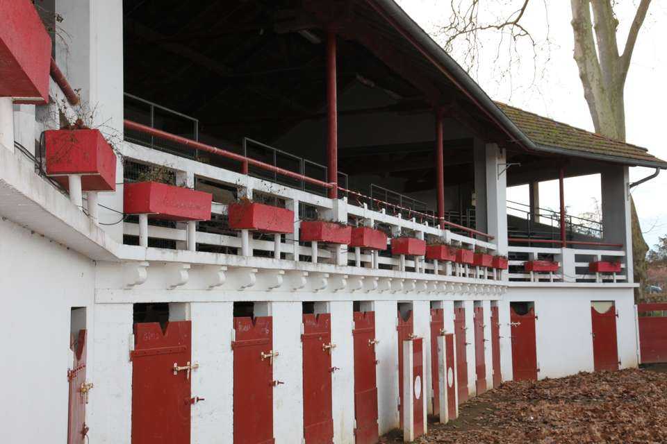Arènes et monument Paul Daverat, Laurède - photo 3