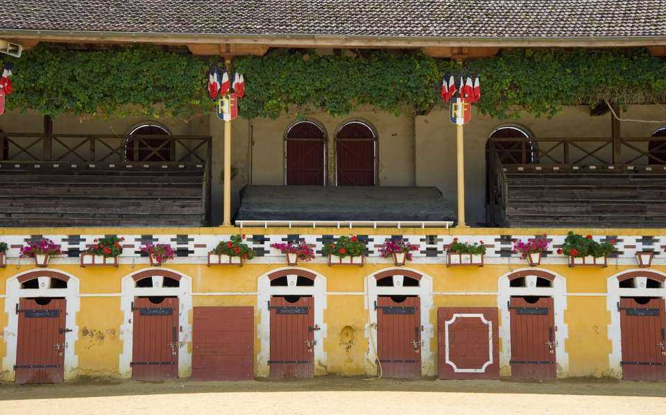 Tèrra Aventura : Aux vendanges, les p'tits bouchons !