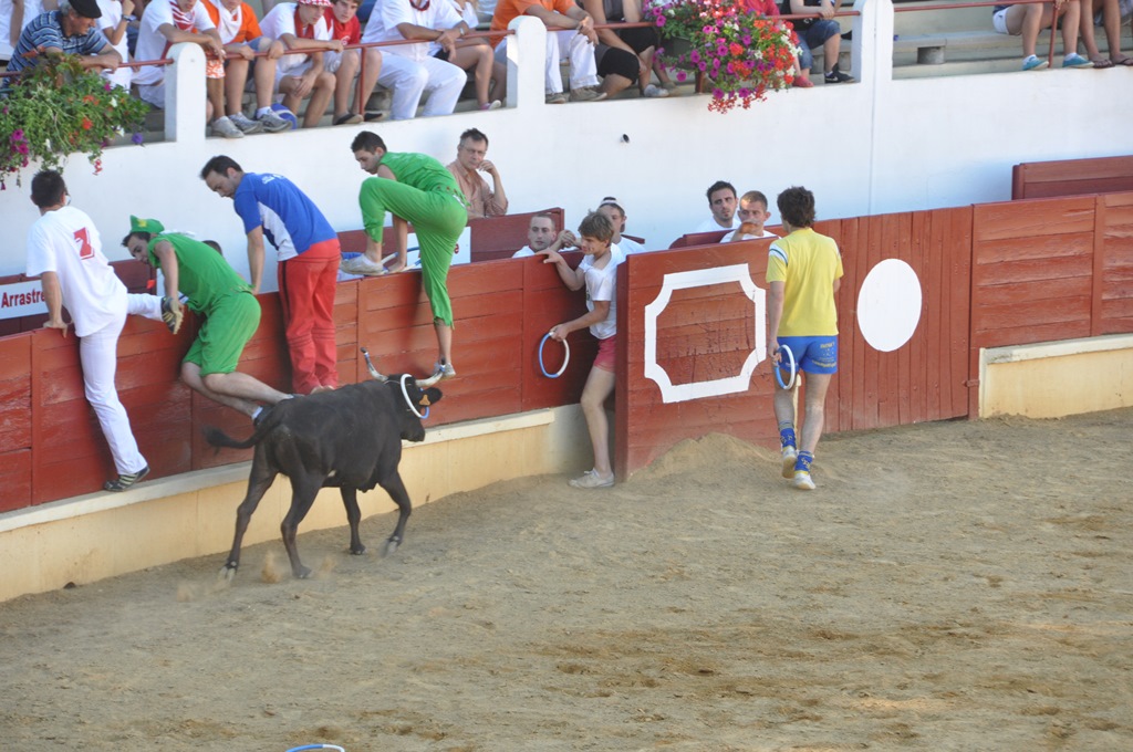 Arènes Henri Capdeville, Saint-Sever - photo 9