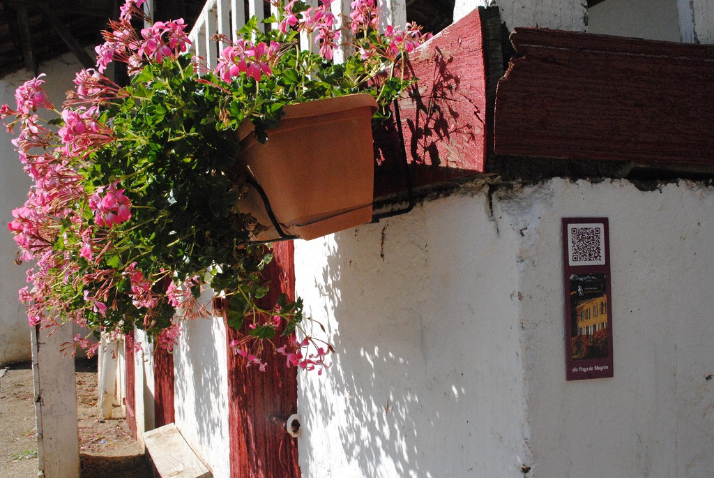 Arènes de Baigts, Baigts - photo 2
