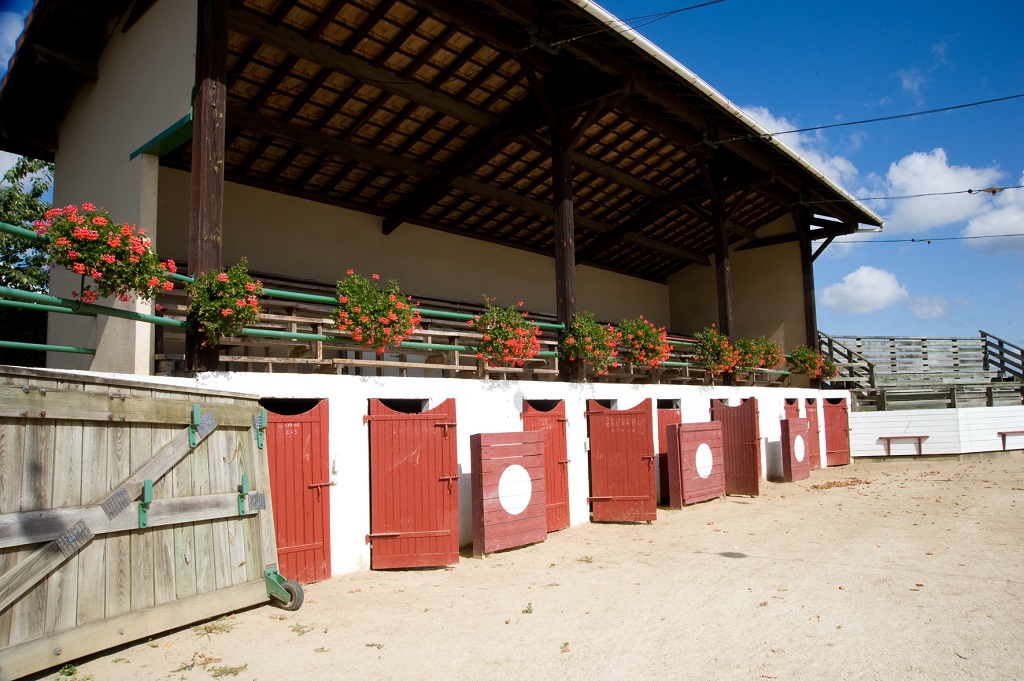 Arènes de Larbey, Larbey - photo 3