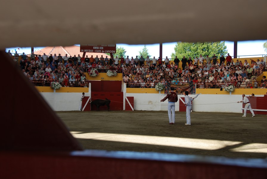Arènes de Pomarez,  la "Mecque de la Course Landaise", Pomarez - photo 6