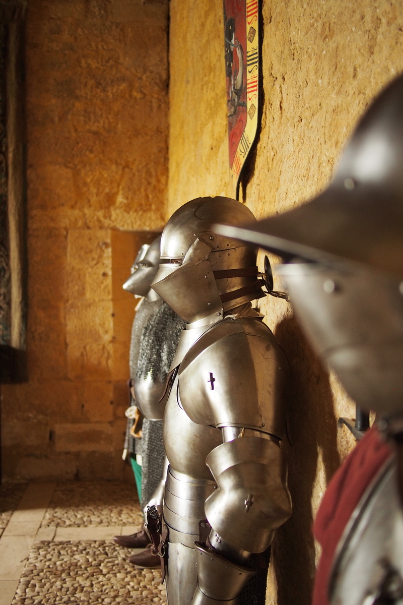Château de Salignac, Salignac-Eyvigues - photo 43