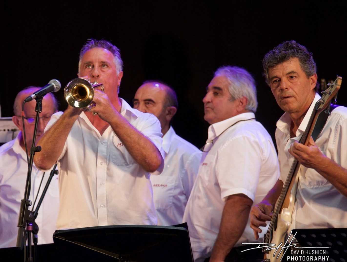 Arraya en concert