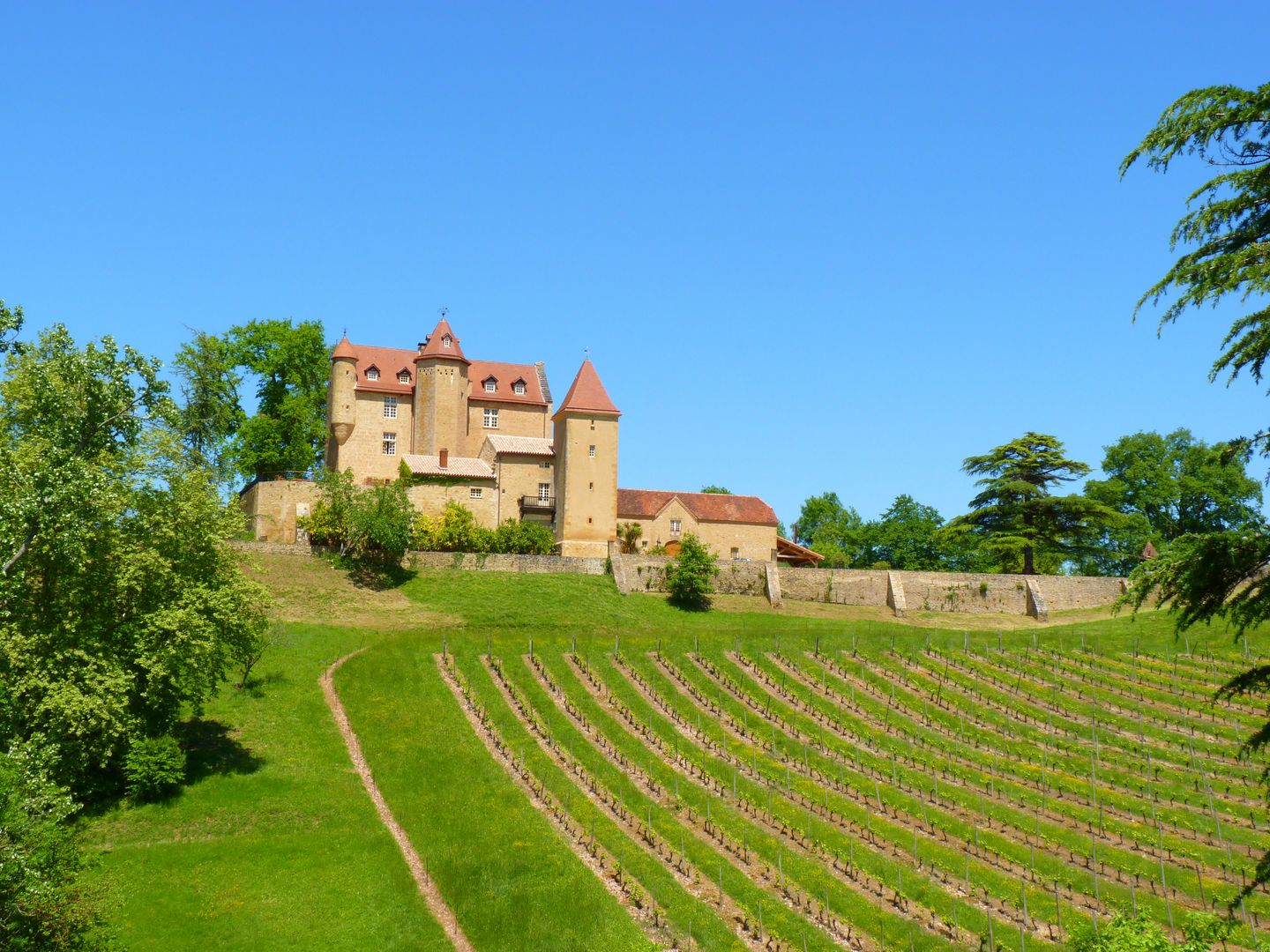 Châteaux et vignobles du Madiran - N°11, Lembeye - photo 7